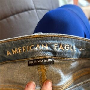 American Eagle Outfitters Blue Skinny Jeans